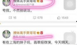 娱乐圈爆料者魏冉,揭秘明星幕后故事